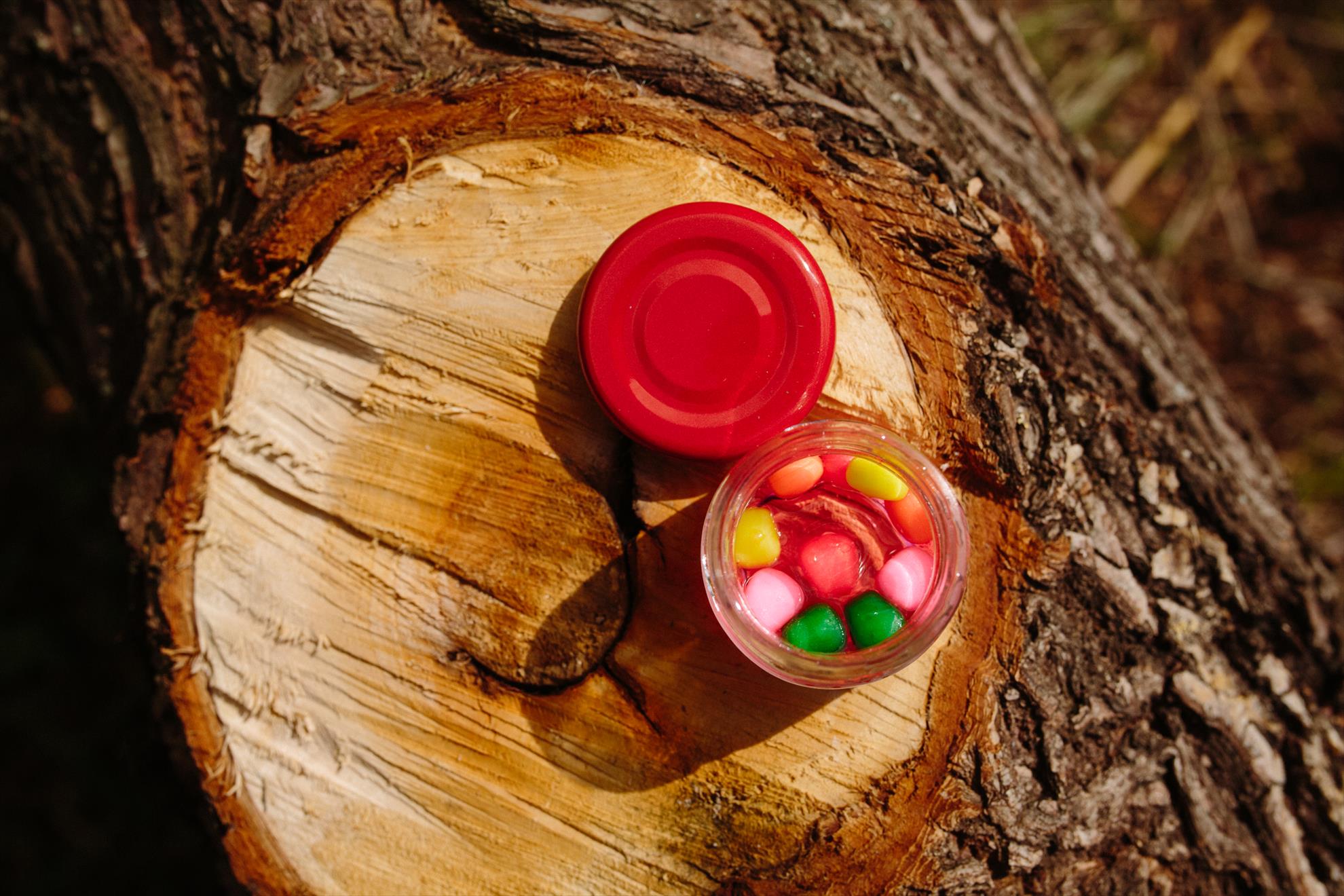 SNZ 2017 - senzor-pe-balta---048.jpg